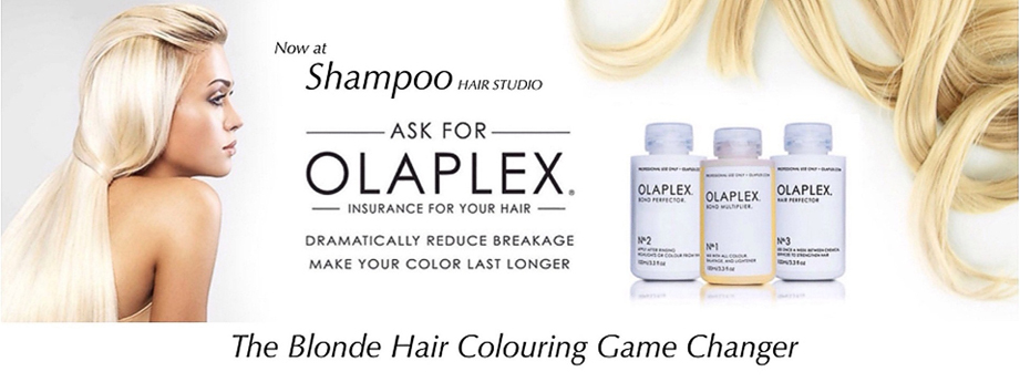 Offers at Shampoo Hair Studio